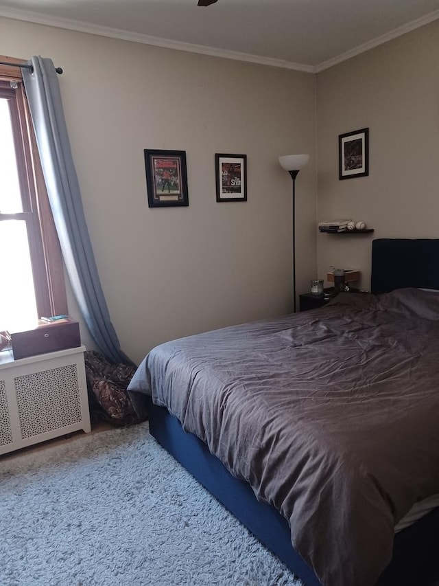 bedroom featuring crown molding and radiator heating unit