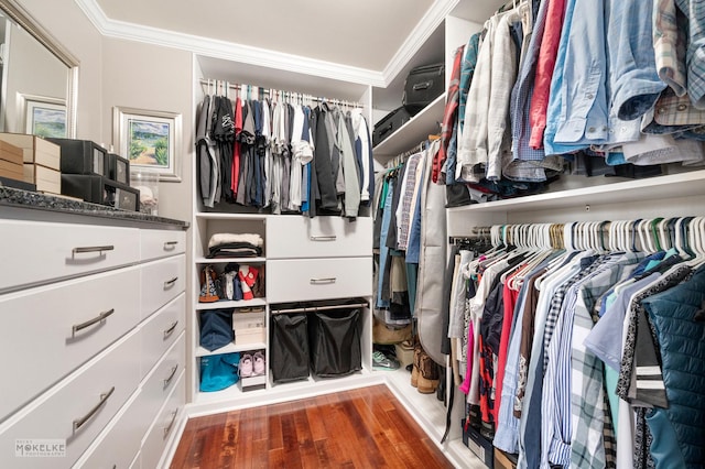 spacious closet featuring wood finished floors