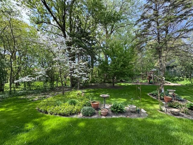 2007 Amherst Ct, Flossmoor, IL 60422 - view of green lawn