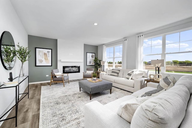 living area with a glass covered fireplace, baseboards, and wood finished floors