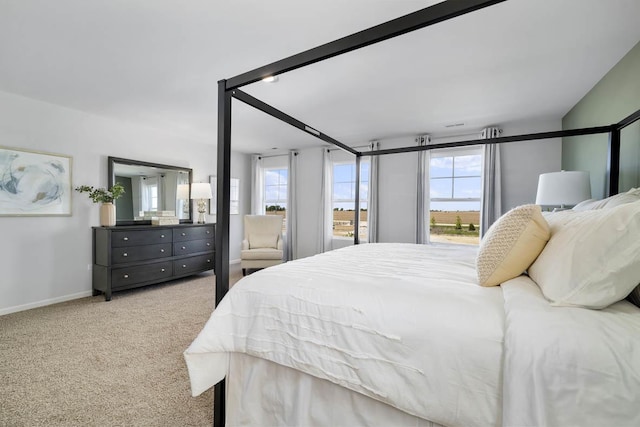 bedroom featuring multiple windows, carpet flooring, and baseboards