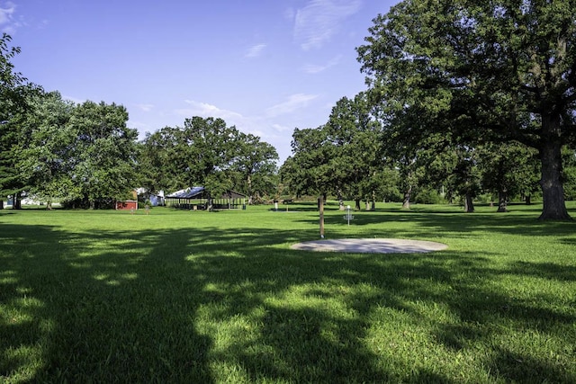 view of property's community with a yard