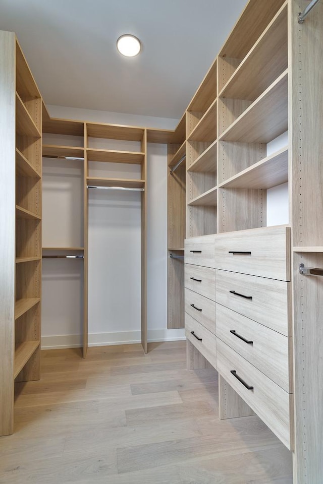 spacious closet featuring light wood-style flooring