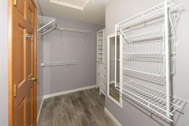 walk in closet with dark wood-type flooring