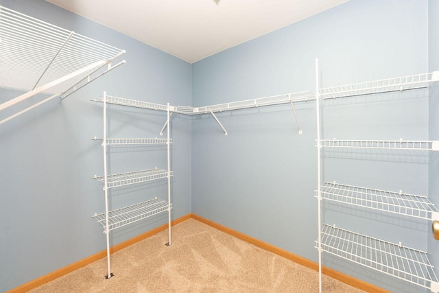 spacious closet with carpet flooring