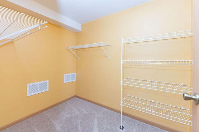 spacious closet featuring carpet flooring and visible vents