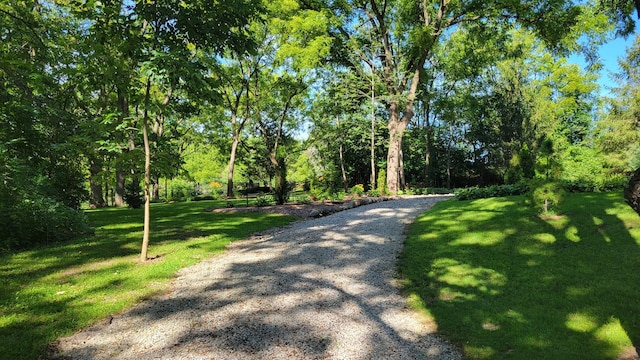 surrounding community with a lawn and gravel driveway