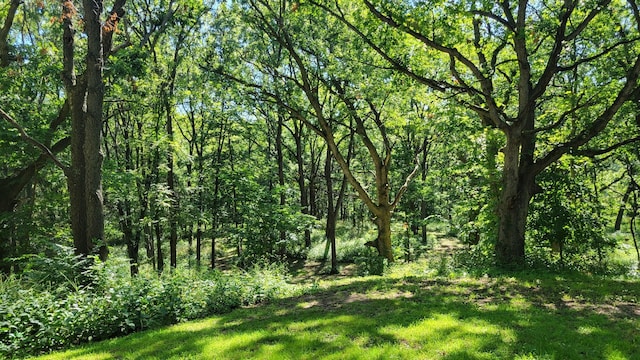 view of yard with a forest view