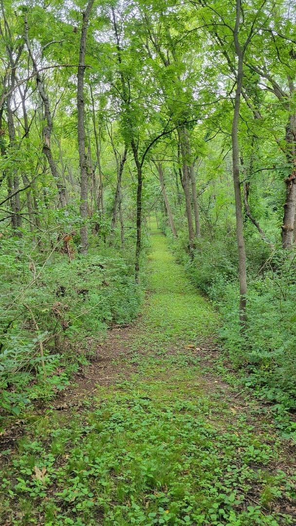 view of landscape featuring a wooded view