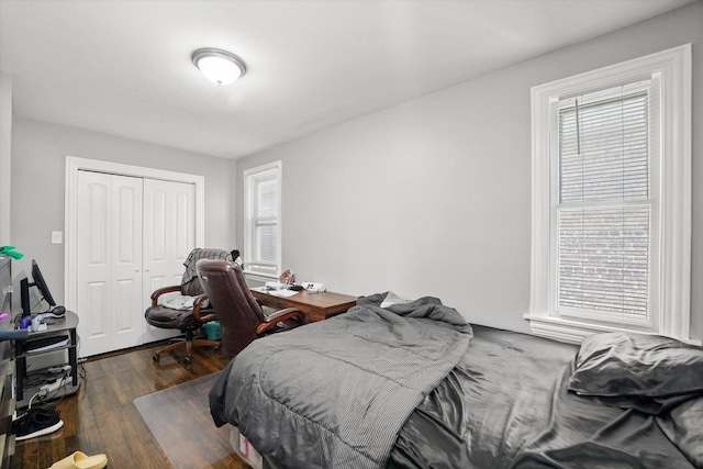 bedroom with multiple windows, wood finished floors, and a closet