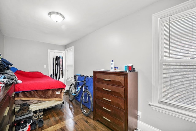 bedroom featuring wood finished floors and a closet
