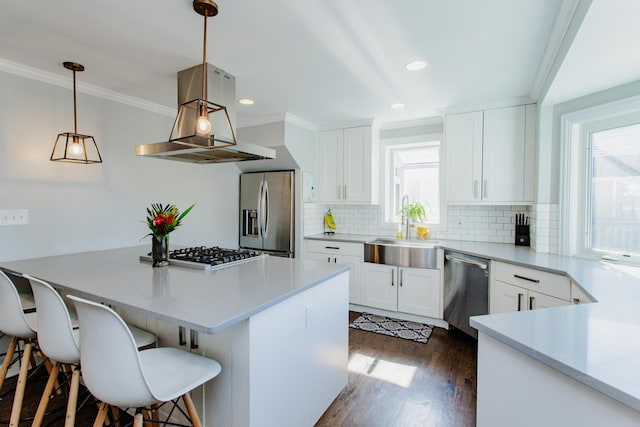 kitchen with island exhaust hood, stainless steel appliances, crown molding, a wealth of natural light, and a center island