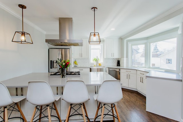 kitchen featuring backsplash, crown molding, appliances with stainless steel finishes, island exhaust hood, and a sink