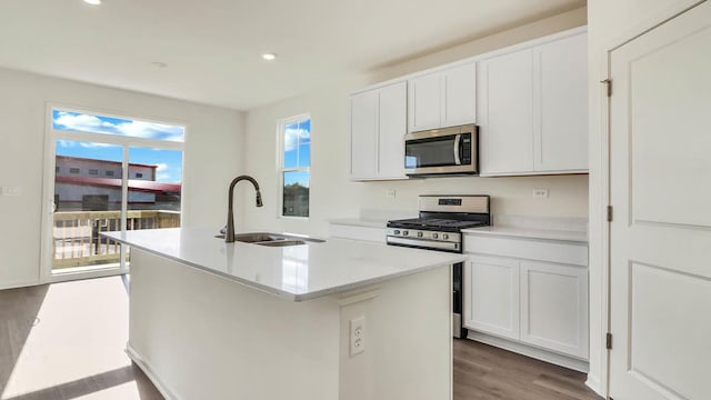 kitchen with a center island with sink, a sink, wood finished floors, stainless steel appliances, and light countertops