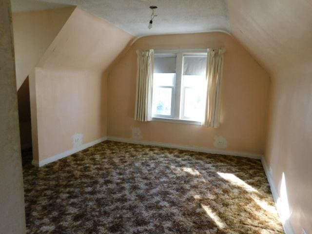 additional living space featuring a textured ceiling, baseboards, lofted ceiling, and carpet floors