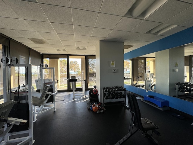 workout area featuring a wall of windows and a drop ceiling