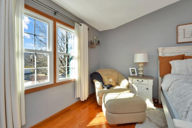 bedroom featuring multiple windows and light wood-type flooring