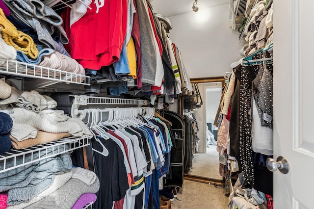 walk in closet with carpet flooring