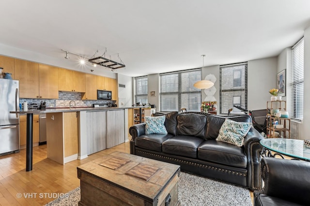 living area with light wood-style floors