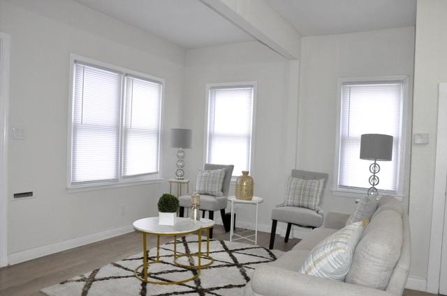 living room with baseboards and wood finished floors