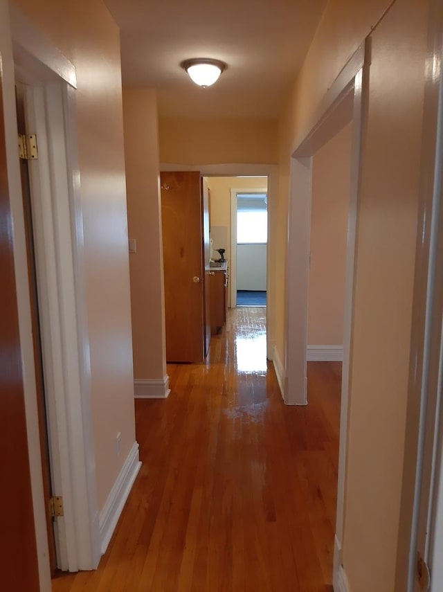 hall featuring baseboards and wood finished floors