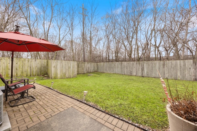 view of yard with a fenced backyard and a patio