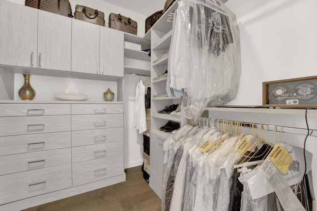 spacious closet with dark wood finished floors