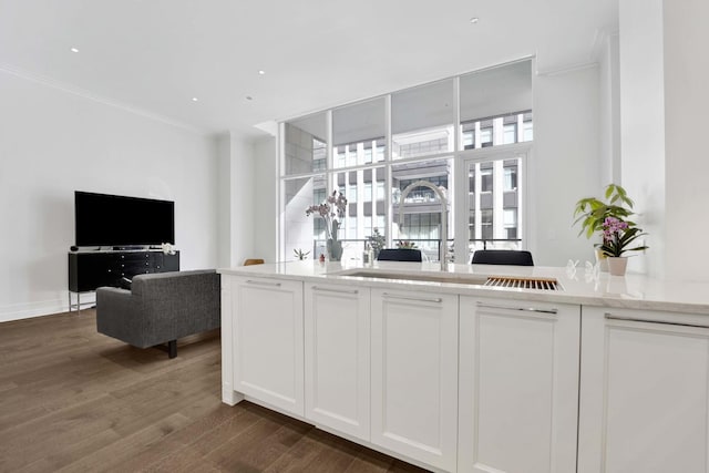 bar with dark wood-style floors and crown molding