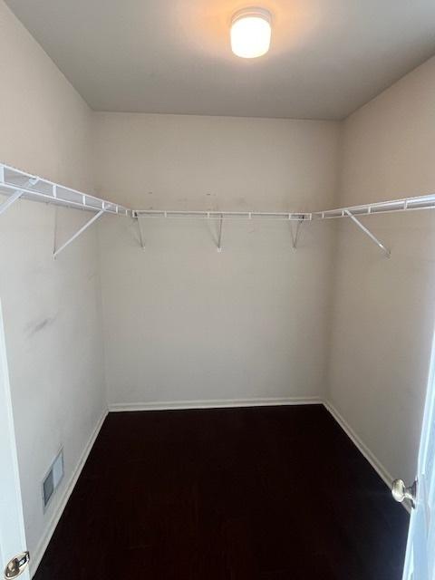 walk in closet with visible vents