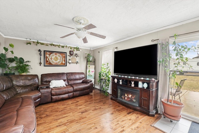 living area with a glass covered fireplace, a textured ceiling, light wood-style flooring, and ornamental molding