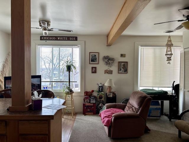 sitting room with beam ceiling, carpet, and ceiling fan