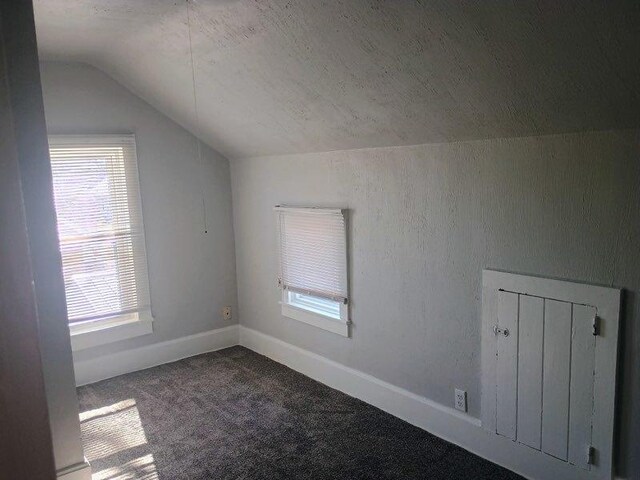 additional living space featuring a wealth of natural light, carpet flooring, and vaulted ceiling