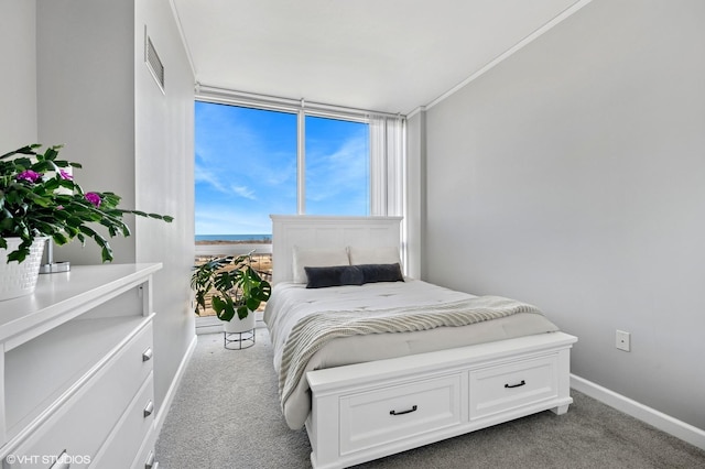 bedroom featuring visible vents, baseboards, and carpet