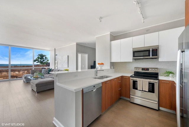 kitchen with tasteful backsplash, a wall of windows, light countertops, appliances with stainless steel finishes, and a sink