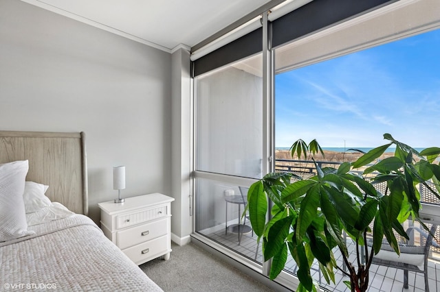 bedroom featuring carpet flooring and crown molding