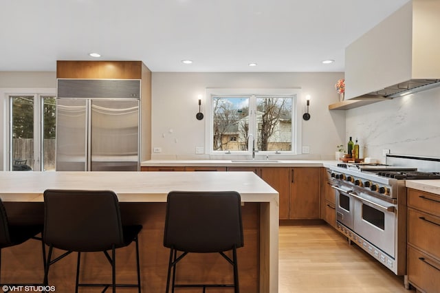 kitchen featuring light wood-type flooring, light countertops, premium appliances, island exhaust hood, and a sink