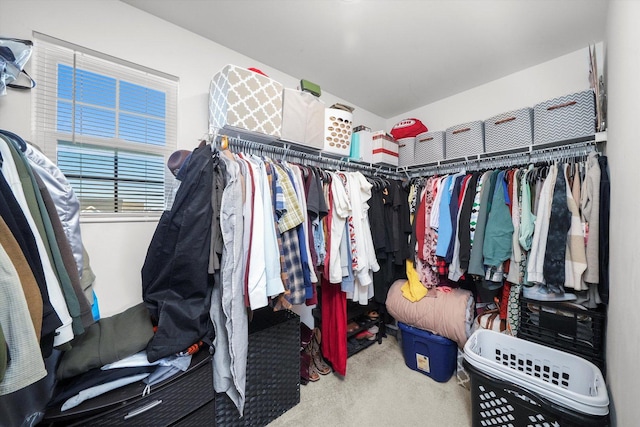 walk in closet featuring carpet