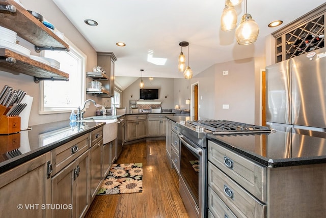 kitchen with open shelves, a sink, dark wood finished floors, appliances with stainless steel finishes, and a skylight