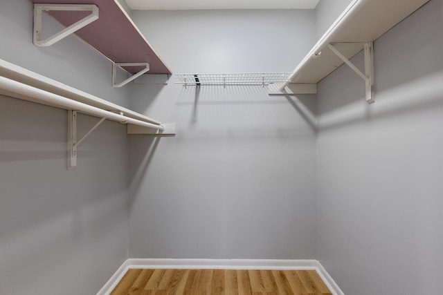 walk in closet with wood finished floors