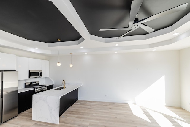 kitchen featuring a tray ceiling, appliances with stainless steel finishes, a peninsula, and light wood finished floors