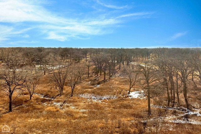 view of local wilderness featuring a wooded view