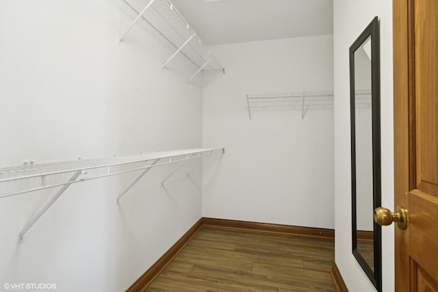 walk in closet featuring wood finished floors