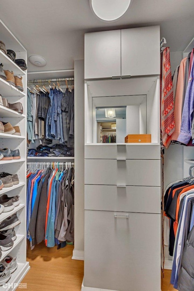 walk in closet featuring wood finished floors