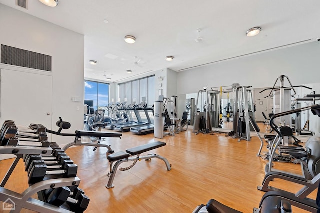 exercise room with visible vents, floor to ceiling windows, and light wood-style floors