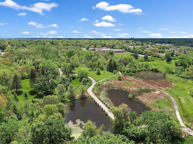 birds eye view of property with a view of trees and a water view