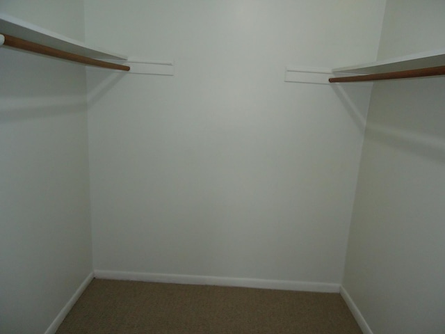 spacious closet with light carpet