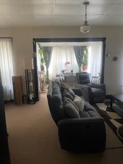 living room featuring carpet flooring and a wealth of natural light