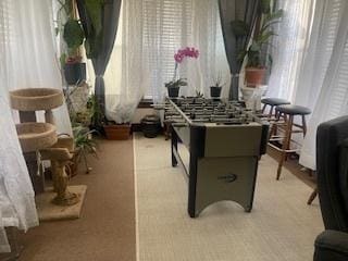 game room with carpet flooring