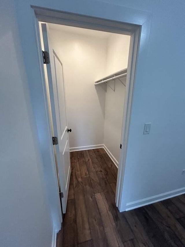 walk in closet with dark wood-style floors