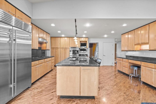 kitchen with a sink, light brown cabinetry, under cabinet range hood, appliances with stainless steel finishes, and light wood-type flooring